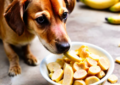 can dogs eat bananas