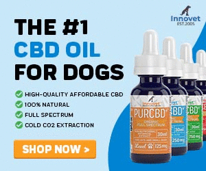 Innovet Pet Products